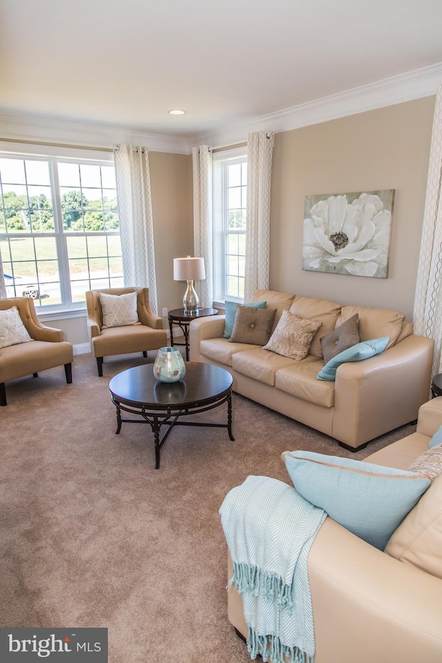 carpeted living room with ornamental molding