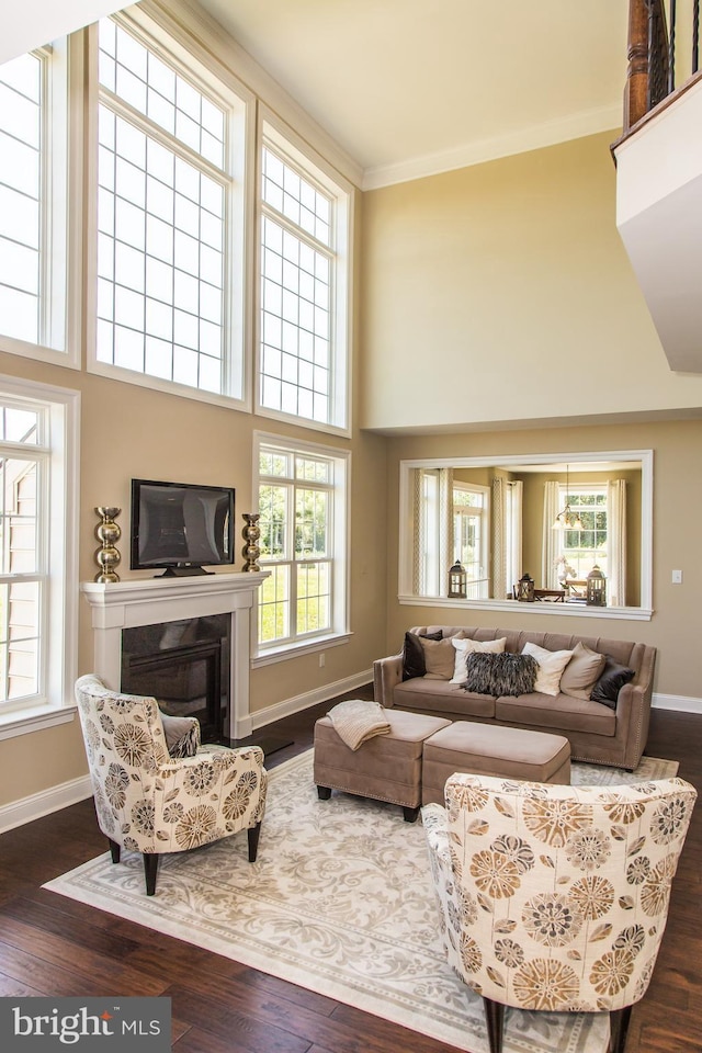 living room with a high ceiling, dark hardwood / wood-style floors, and crown molding