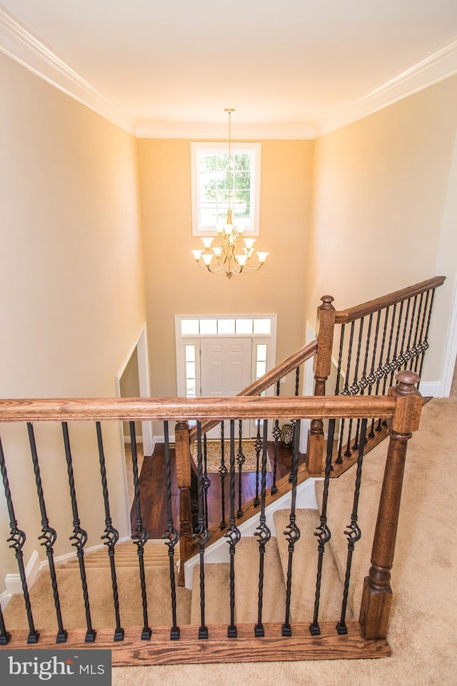 stairway featuring a chandelier, light colored carpet, and ornamental molding