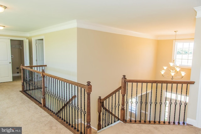 hallway featuring a chandelier, light carpet, and crown molding