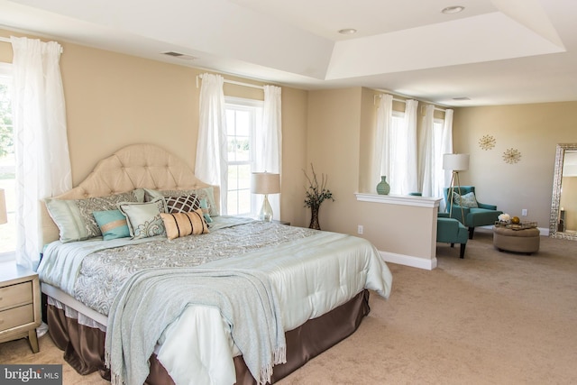 carpeted bedroom featuring a raised ceiling