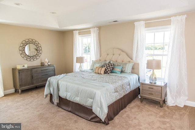 carpeted bedroom featuring a tray ceiling and multiple windows