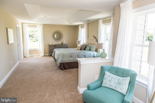 bedroom featuring a raised ceiling and light colored carpet