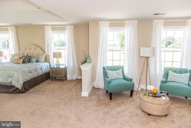 bedroom with multiple windows and carpet floors