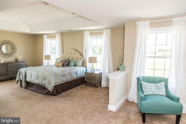 carpeted bedroom with a raised ceiling