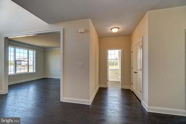 entrance foyer featuring dark hardwood / wood-style floors