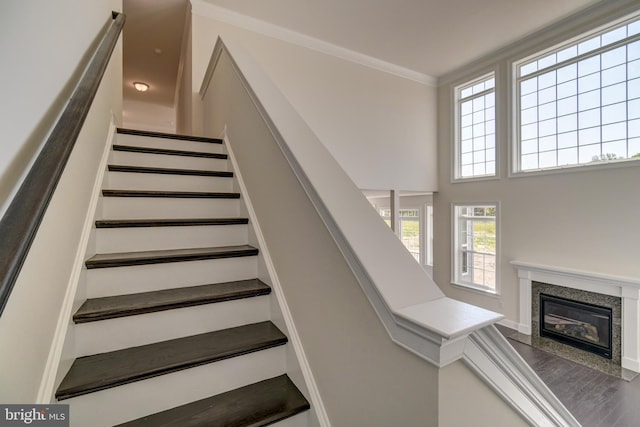 stairs with a premium fireplace and hardwood / wood-style floors