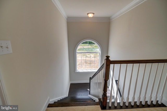 stairway featuring crown molding and dark hardwood / wood-style flooring