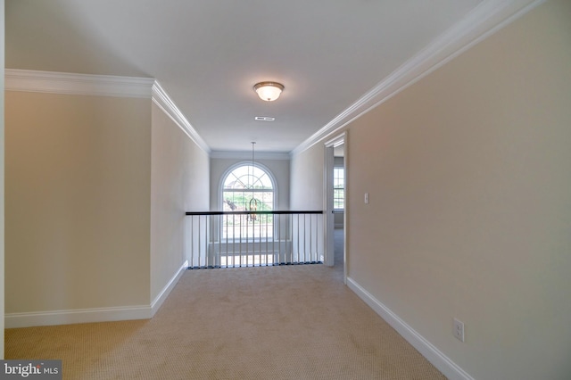 carpeted empty room with ornamental molding