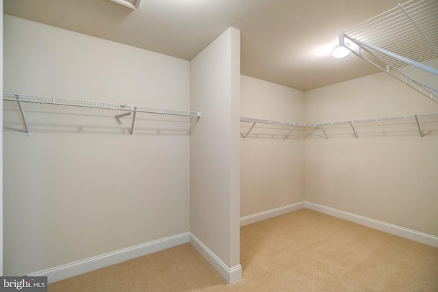 walk in closet with light carpet