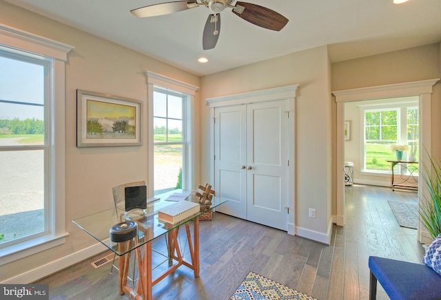 office featuring ceiling fan, dark hardwood / wood-style floors, and a healthy amount of sunlight