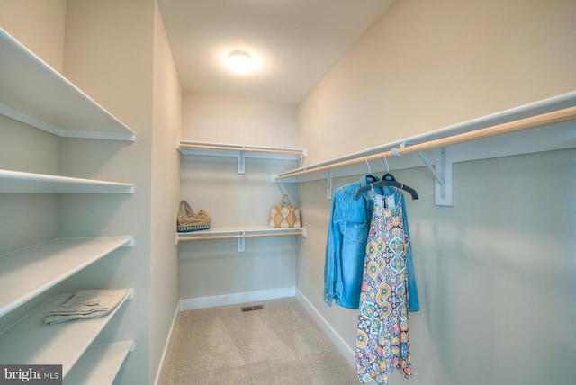 spacious closet featuring light colored carpet