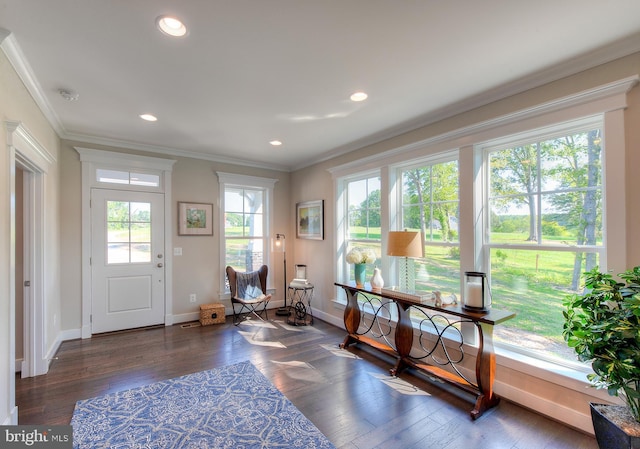 foyer entrance featuring crown molding, dark hardwood / wood-style flooring, and a wealth of natural light