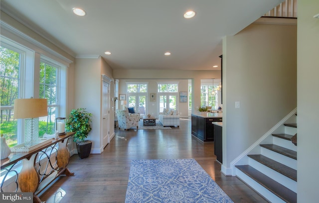 entrance foyer featuring dark hardwood / wood-style flooring and plenty of natural light