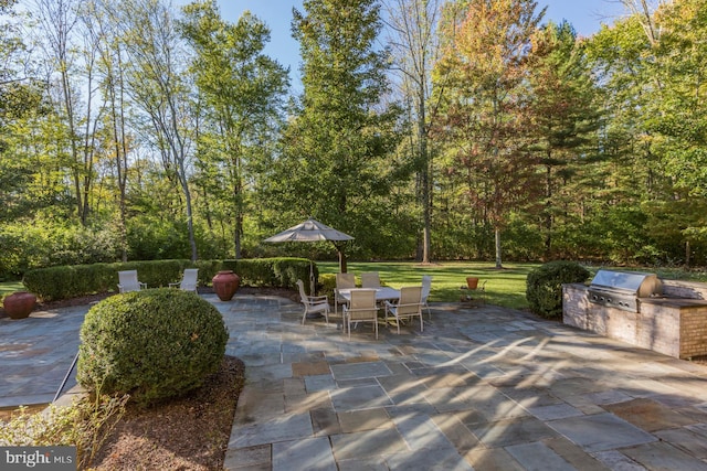 view of patio / terrace with exterior kitchen and a grill