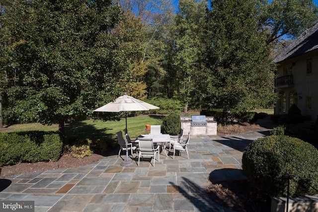 view of patio / terrace featuring area for grilling and grilling area