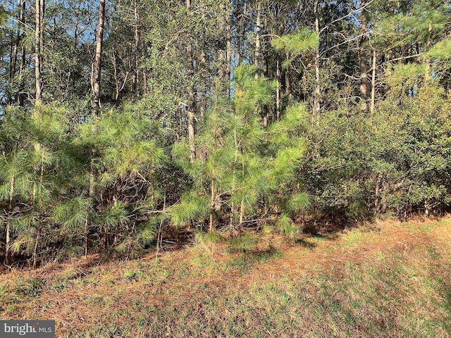 LOT8 Peaceful Lakes Dr, Exmore VA, 23350 land for sale