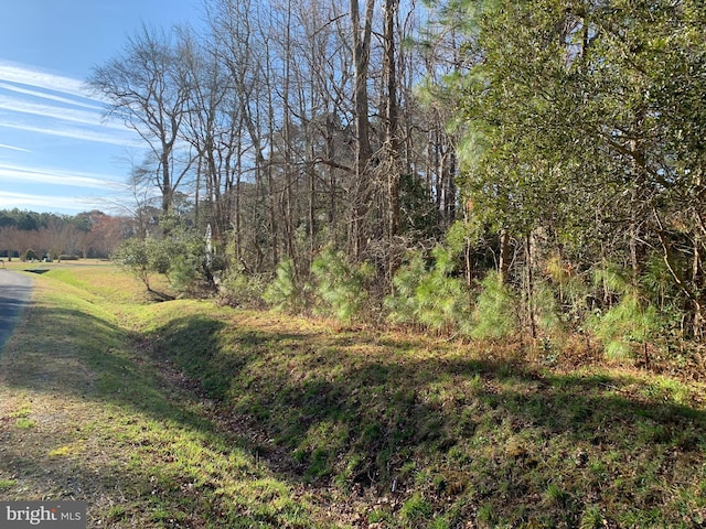 Listing photo 2 for LOT8 Peaceful Lakes Dr, Exmore VA 23350