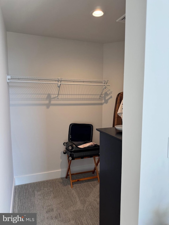 spacious closet featuring carpet floors