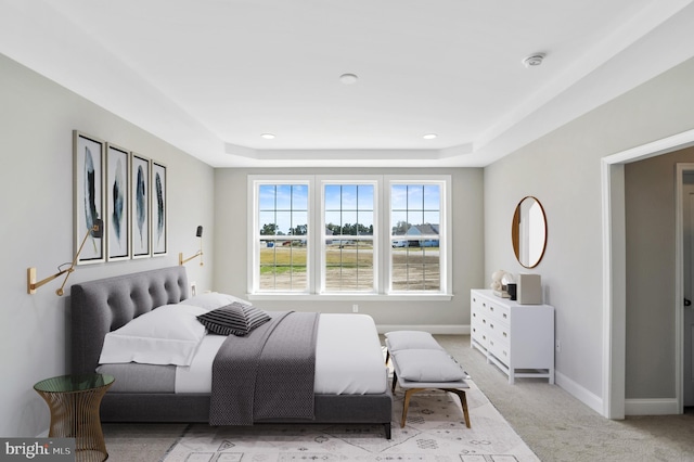 bedroom with light colored carpet and a raised ceiling