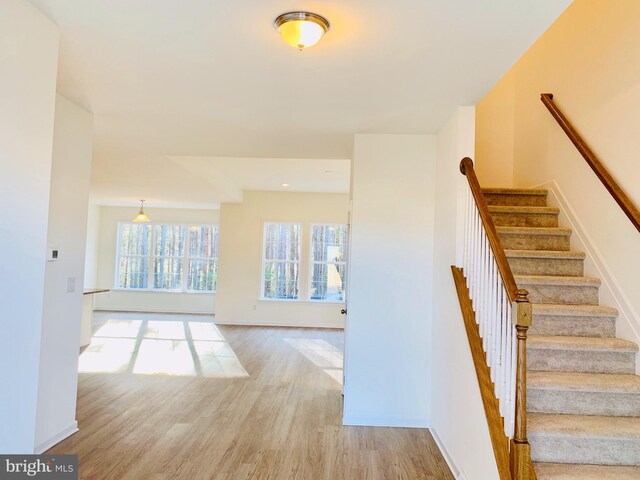 stairs featuring light hardwood / wood-style floors