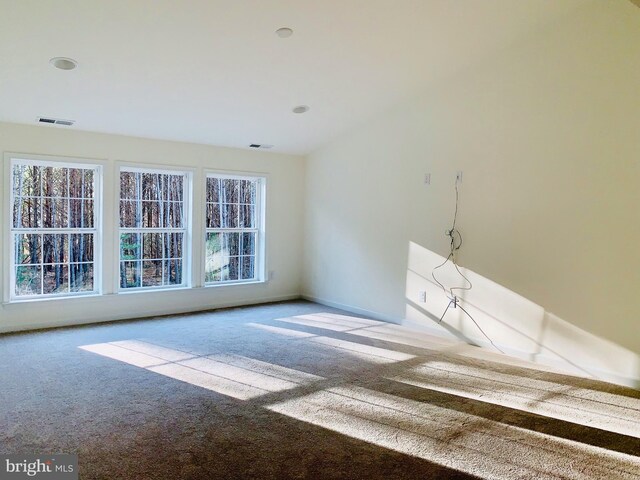 spare room with light colored carpet