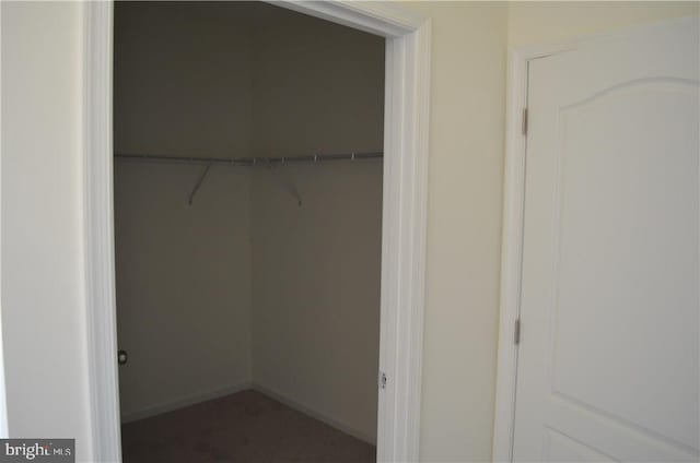 spacious closet featuring dark colored carpet