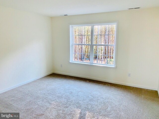 empty room with carpet floors