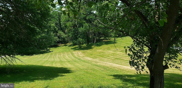 view of property's community with a yard