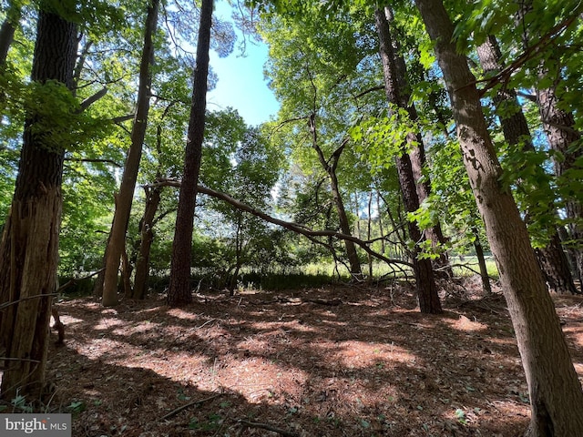 Listing photo 2 for PARCEL40 Revells Neck Rd, Westover MD 21871