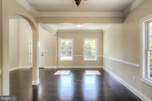 spare room featuring plenty of natural light, ornamental molding, and dark hardwood / wood-style flooring