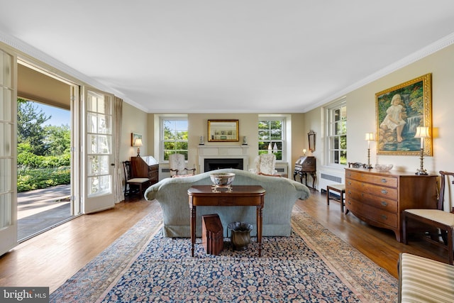 living room with ornamental molding and light wood-type flooring