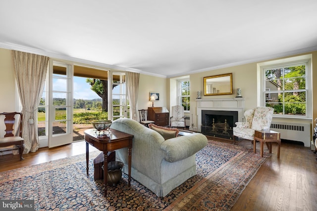 living room featuring dark hardwood / wood-style flooring, a healthy amount of sunlight, and radiator