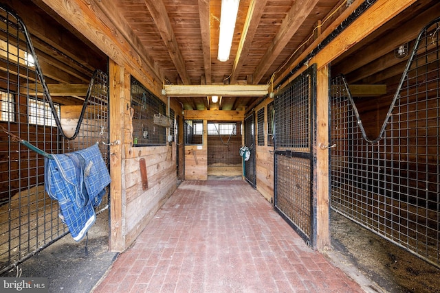 view of stable