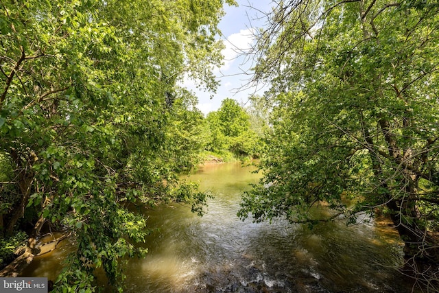 view of local wilderness with a water view