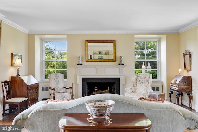 living room featuring crown molding, radiator heating unit, and hardwood / wood-style flooring