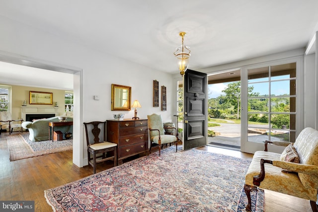 sitting room featuring dark hardwood / wood-style flooring