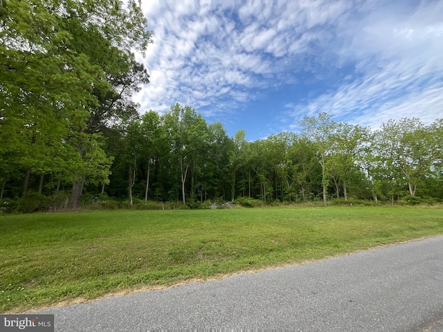 0 Dukes Rd, Girdletree MD, 21829 land for sale