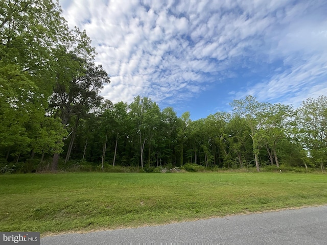 Listing photo 2 for 0 Dukes Rd, Girdletree MD 21829