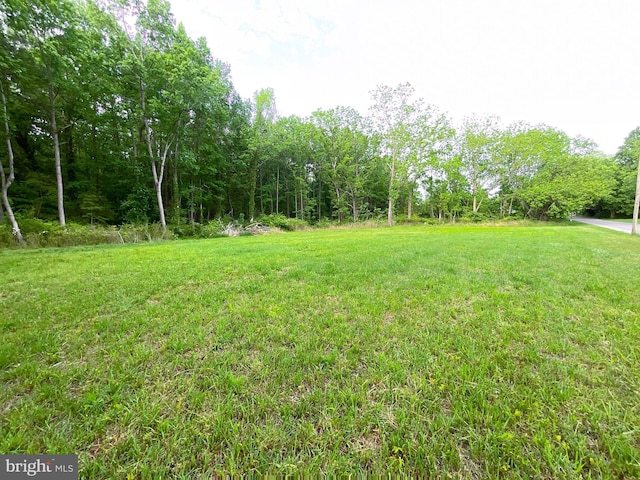 Listing photo 3 for 0 Dukes Rd, Girdletree MD 21829