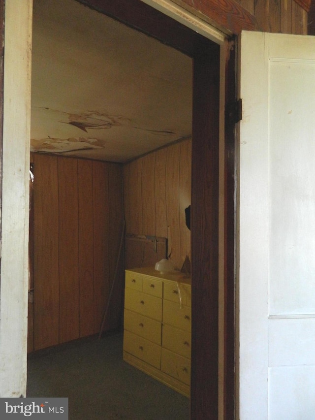 basement with wooden walls