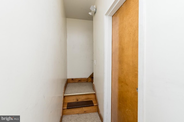 staircase featuring light carpet