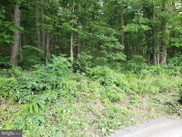 Drummer Hill Rd, Front Royal VA, 22630 land for sale