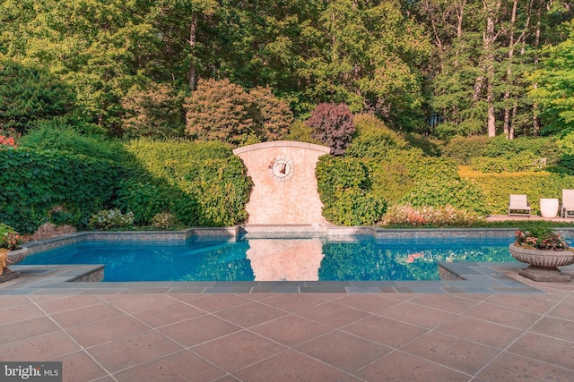 view of swimming pool featuring a patio area