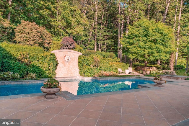 view of pool with a patio