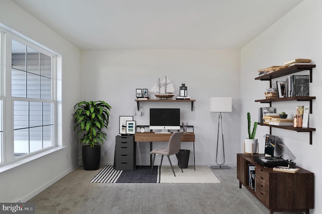 home office featuring carpet flooring