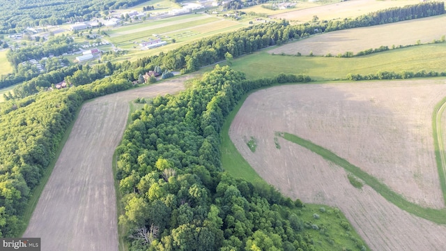 birds eye view of property with a rural view