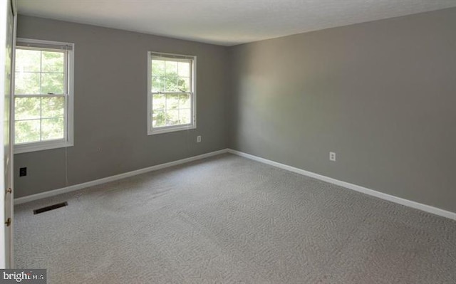 empty room featuring carpet and a healthy amount of sunlight