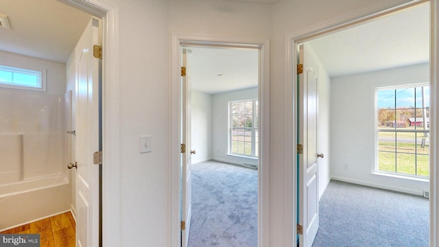 hallway with plenty of natural light and light carpet