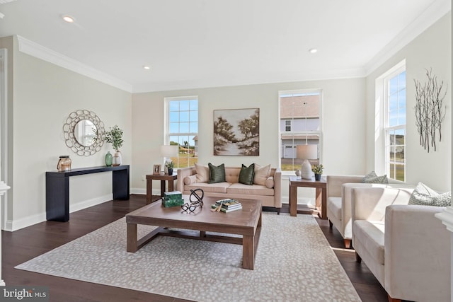 living room with crown molding and dark hardwood / wood-style flooring